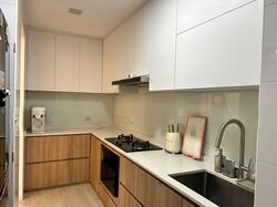 The Canopy (D27), Condominium #551122561